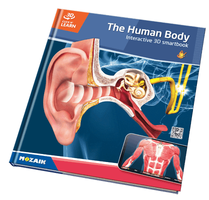 Book MS-6404-EN