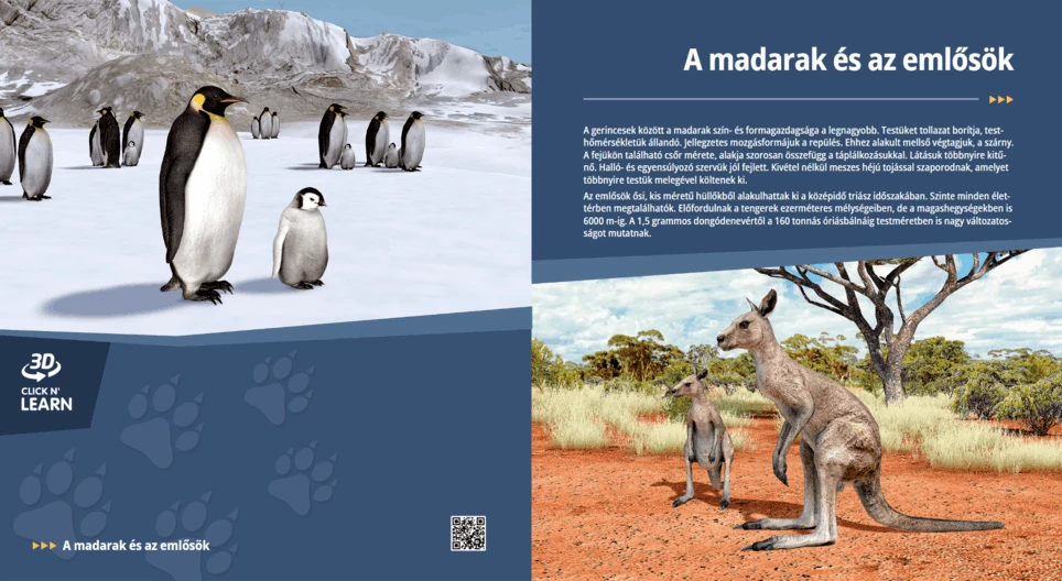 Birds and Mammals