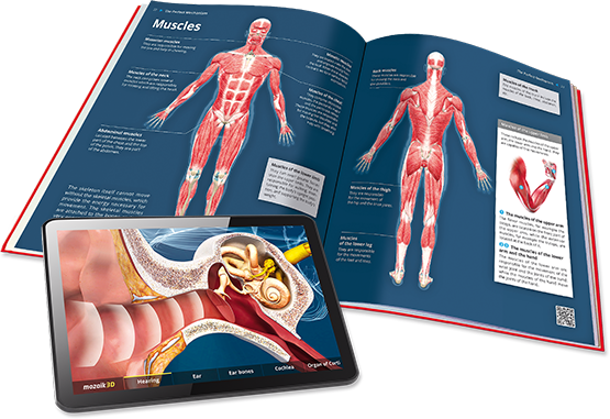 3D-смартбуки