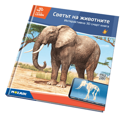 Book MS-6413-BG