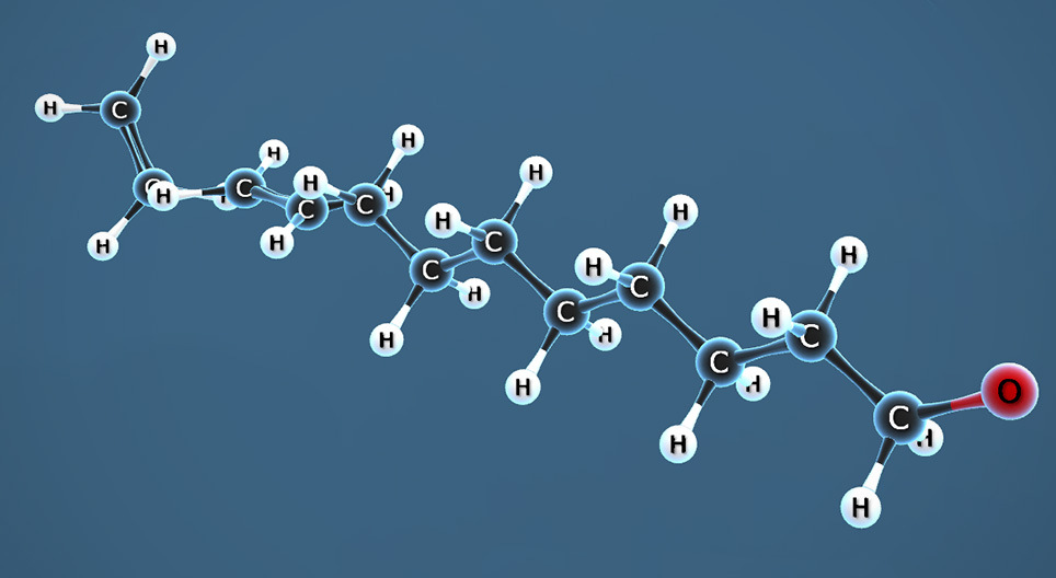 Polymerace ethylenu