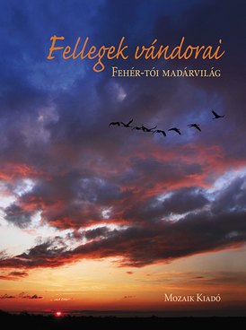 Fellegek vándorai