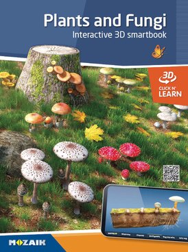 Plants and Fungi