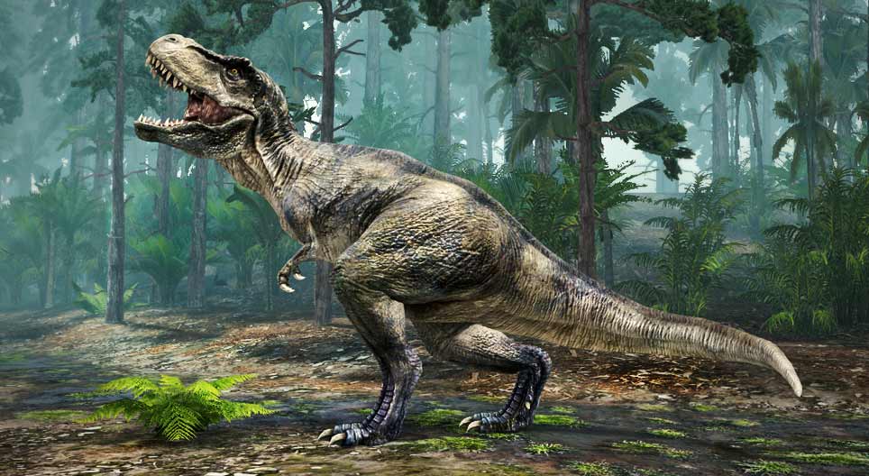 Tyrannosaurus rex 
