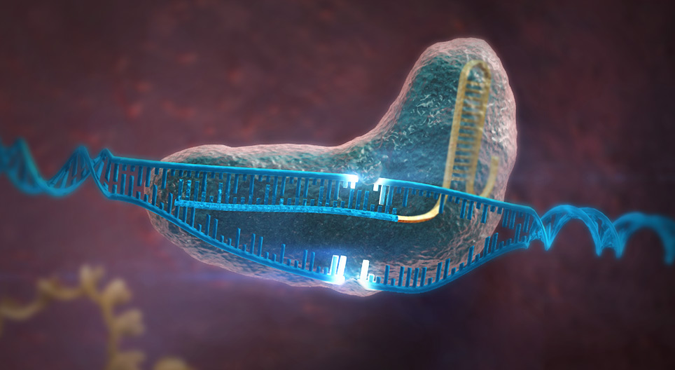 Genome redigering