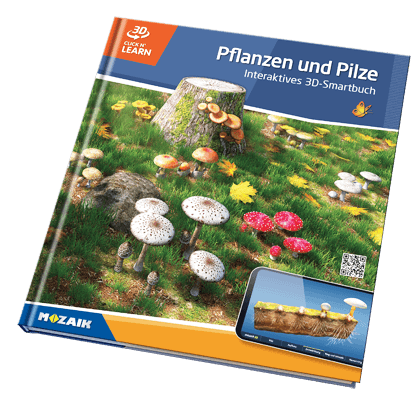 Book MS-6417-DE