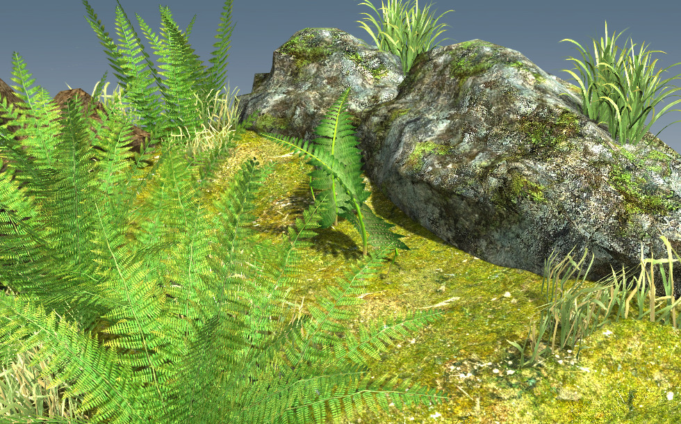 Der Lebenszyklus von Moosen und Farnen - 3D-Modell - Mozaik Digitale  Bildung und Lernen