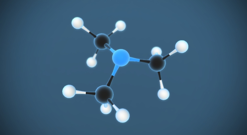Das Trimethylamin N(CH₃)₃ 3DModell Mozaik Digitale Bildung und Lernen