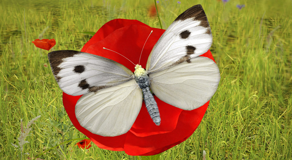 Large white butterfly 3D scene Mozaik Digital Education and Learning