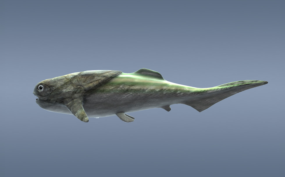 Prehistoric armoured fishes - 3D scene - Mozaik Digital Education