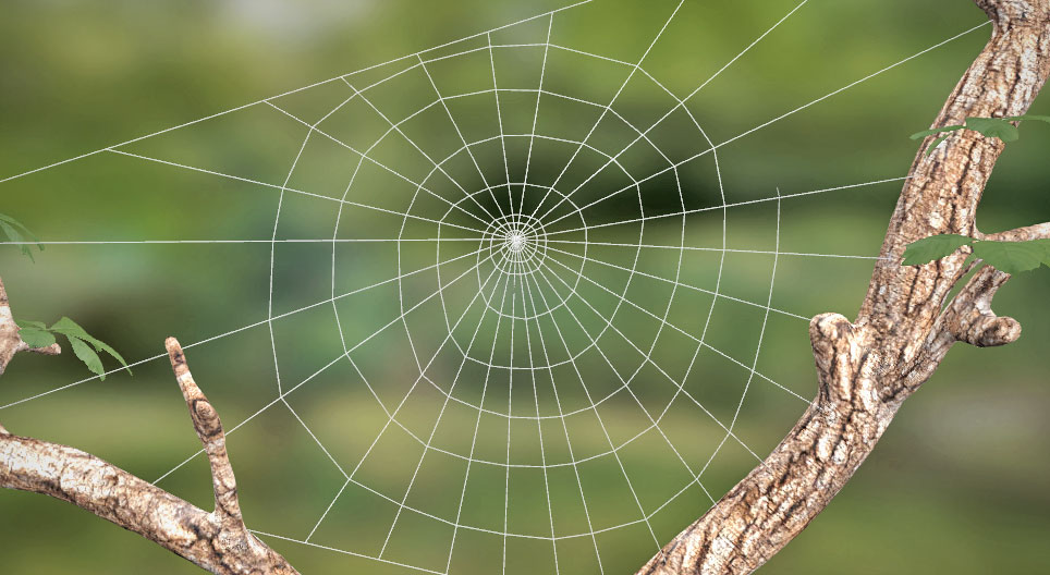 Spider silk, spider web 3D scene Mozaik Digital Education and Learning
