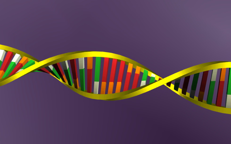 Chromatin