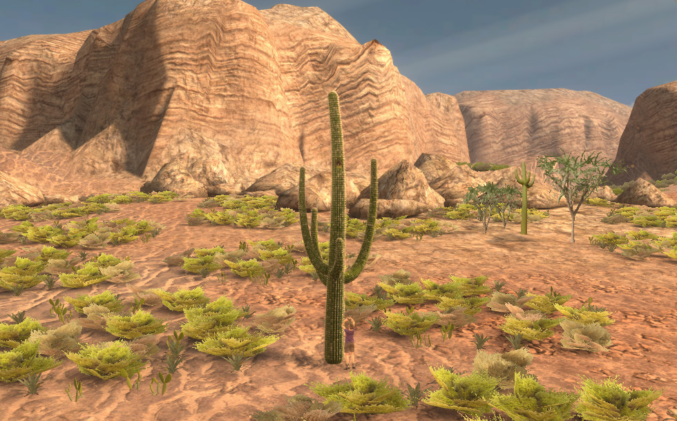 Saguaro cactus