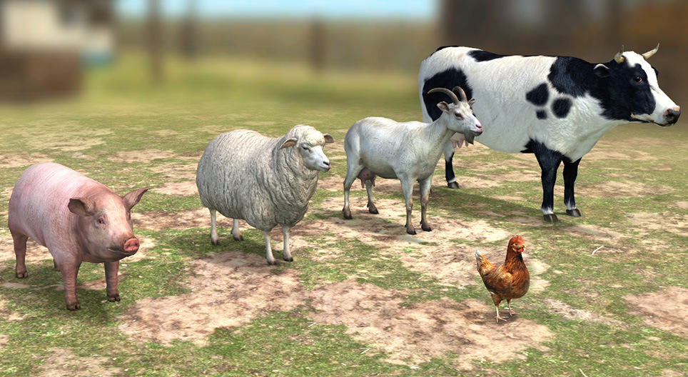 Livestock