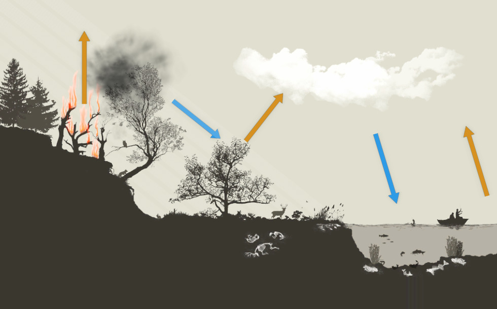 Fast carbon cycle