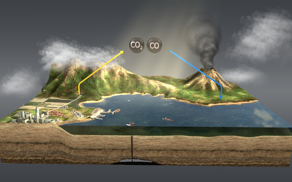Carbon cycle
