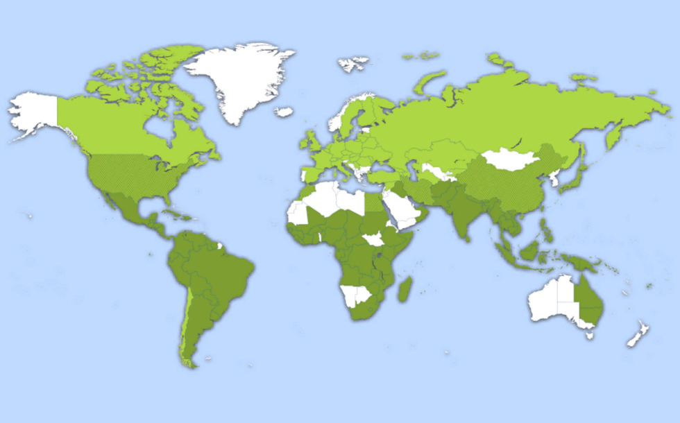 Distribution and production