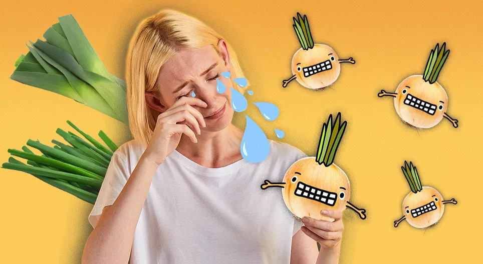 Why do we cry when chopping onions? Digital lesson Mozaik Digital