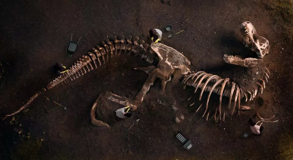 What do fossils tell us? Digital lesson Mozaik Digital Education and Learning