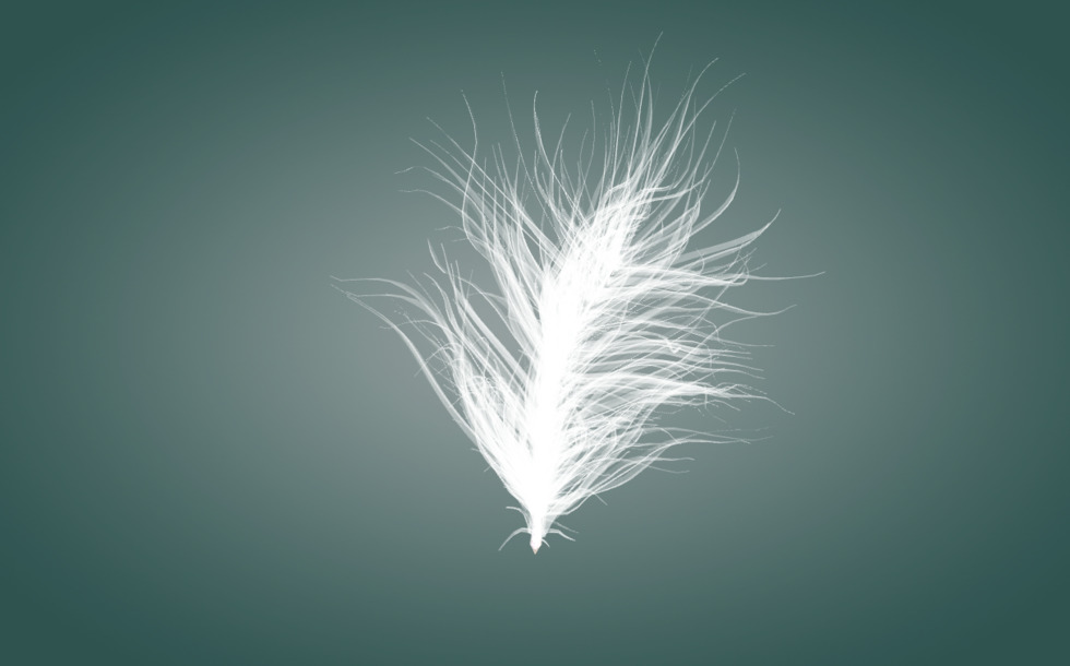 Feathery Example Types of feathers - 3D scene - Mozaik Digital Education and Learning