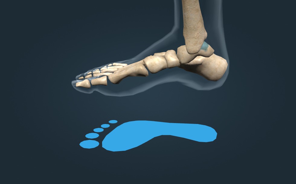 Flat feet - 3D scene - Mozaik Digital Education and Learning