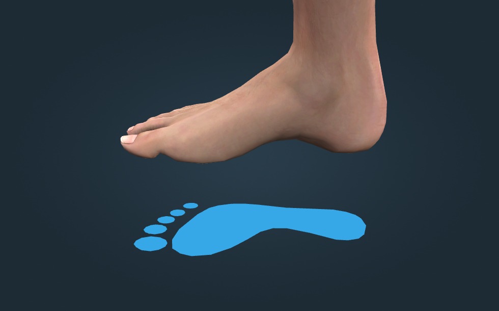 Flat feet 3D scene Mozaik Digital Education and Learning