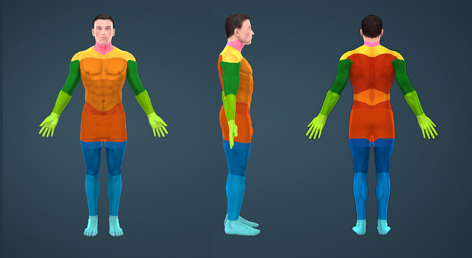 Parts of the human body - 3D scene - Mozaik Digital Learning