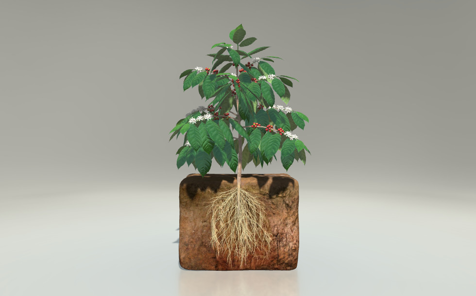 heavy duty hanging plant stand H Potter Hanging Planter