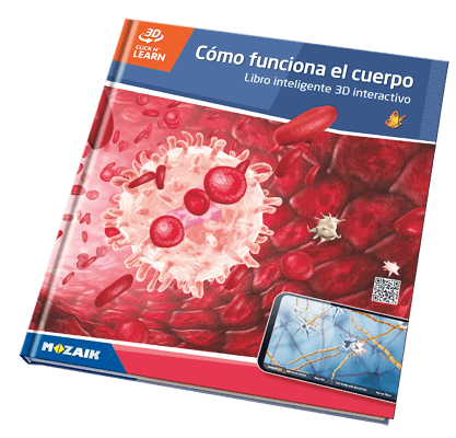 Book MS-6409-ES