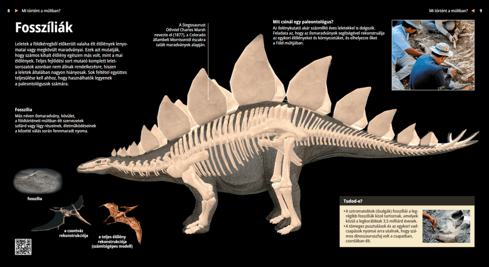 Los fósiles Lección digital Educación digital y aprendizaje Mozaik