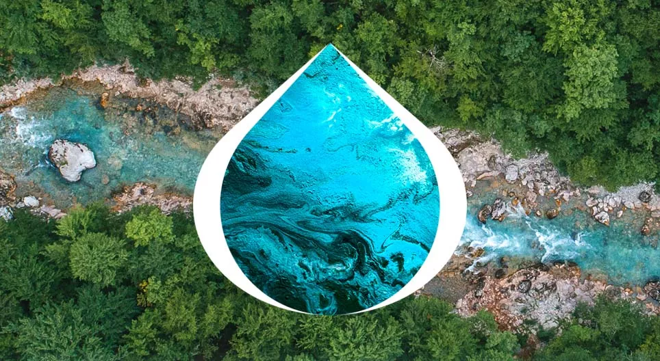 El curso del agua
