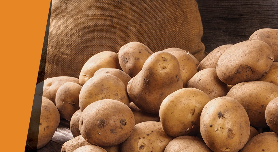 Potato catalyst