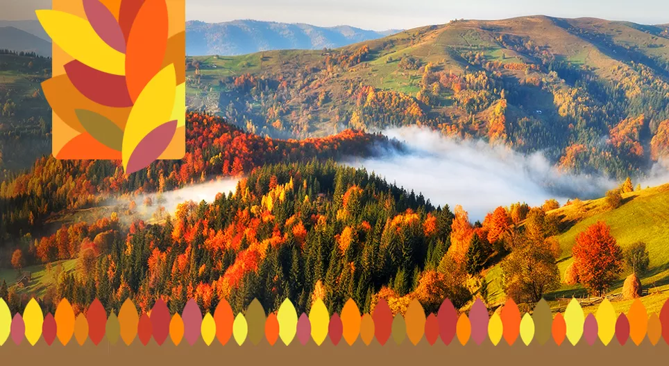 Autumn