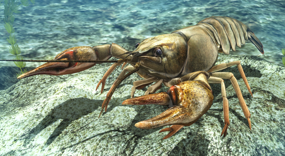 Riječni rak - 3D scene - Mozaik digitalno obrazovanje i učenje