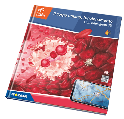 Book MS-6409-IT
