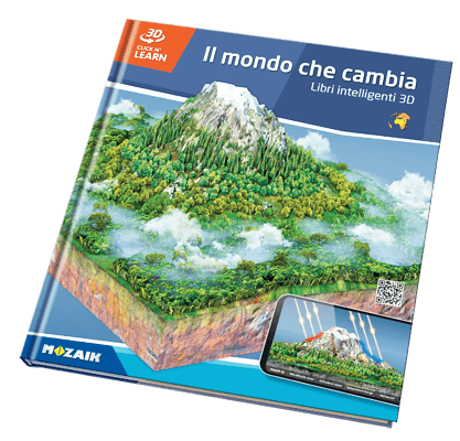 Book MS-6420-IT