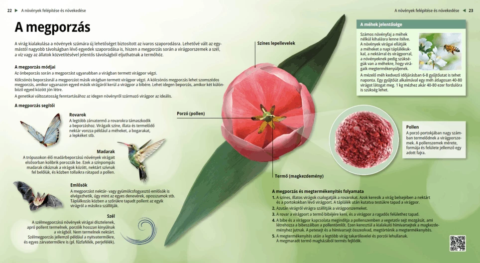 Impollinazione