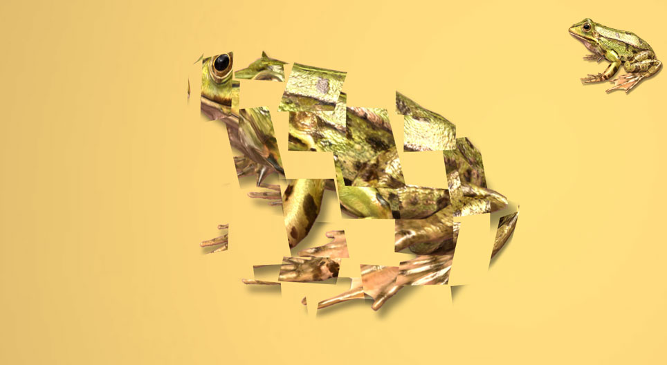 Gioco di rotazione 3D