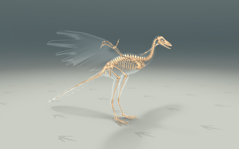 北の始祖鳥 始祖鳥 - 3Dシーン - Mozaikデジタル教育と勉強