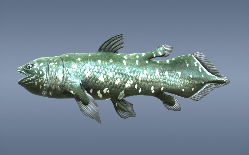 シーラカンス - 3Dシーン - Mozaikデジタル教育と勉強