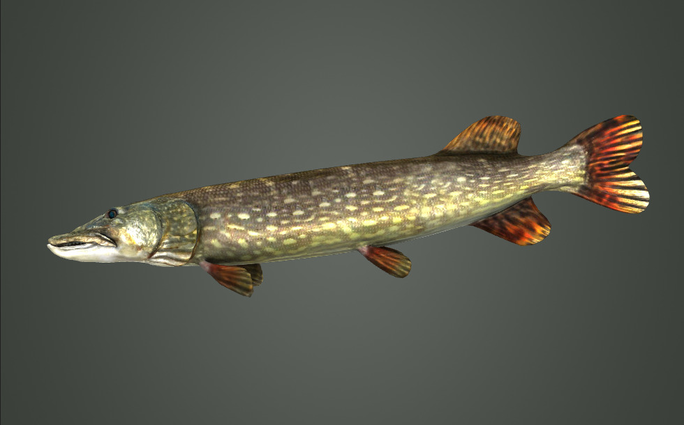 Черниговтағы екі жынысты жарнамалар