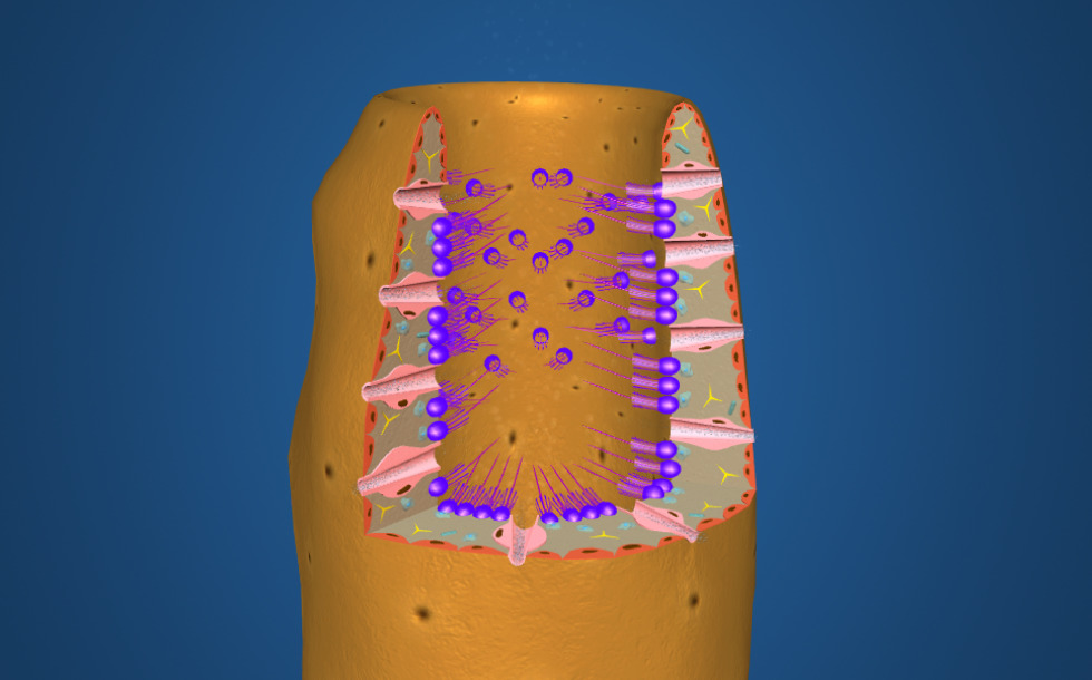 Порно секс киім