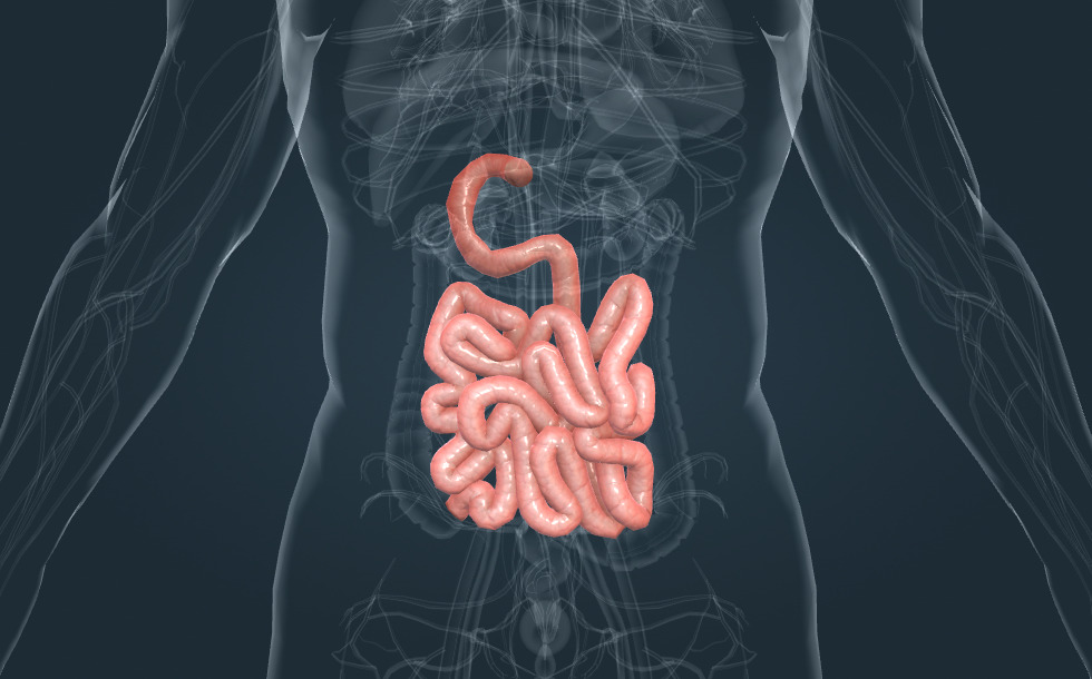 Ануста жанып тұрған шамның суреті