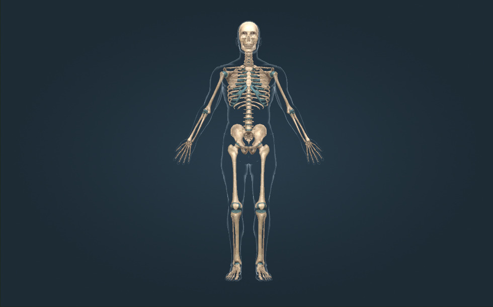 Әйелім мен оның досының суреті