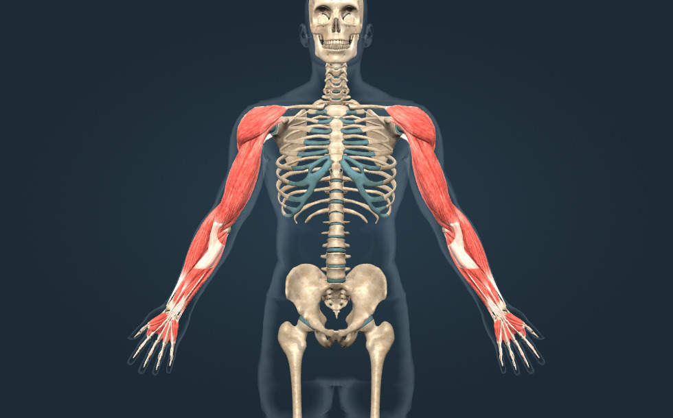 Интернетте сирек кездесетін порно көру