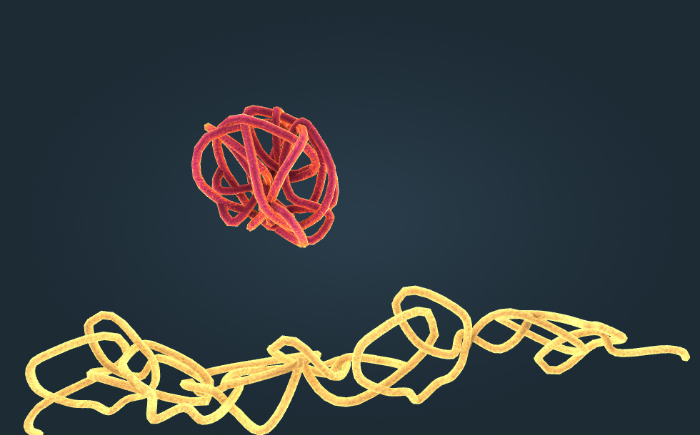 Терезедегі секс видеоға түсірілген