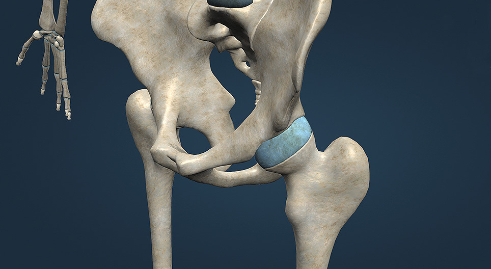 Ерлердің мастурбация фотоларының түрлері