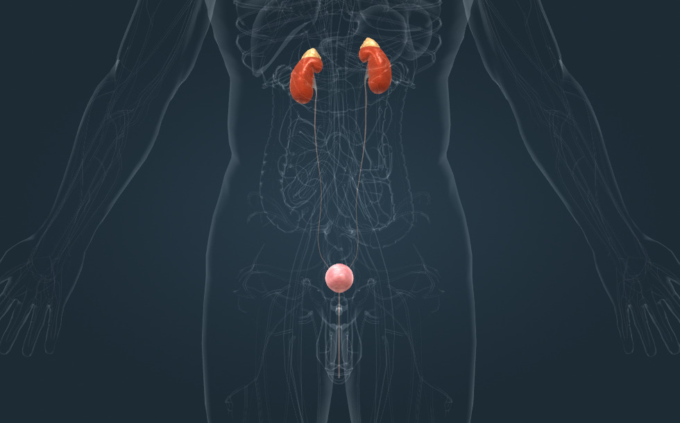 Би путать порно видео онлайн