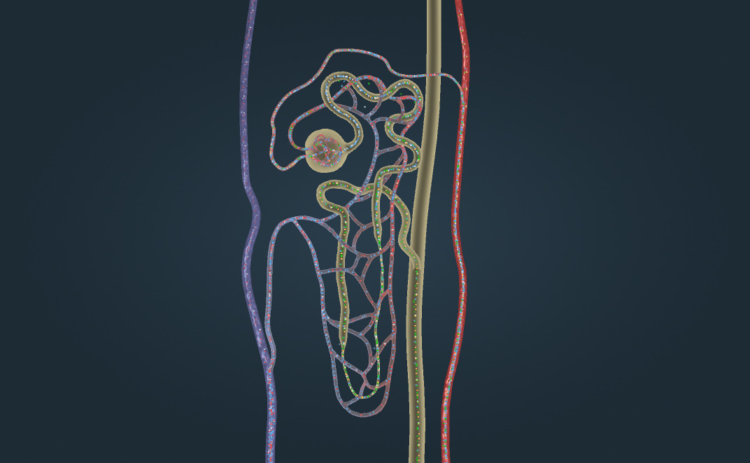Менде жыныстық қатынас кезінде оргазм болмайды, мен ауырсынуды сезінемін және зәр шығару керек сияқт Догги стиліндегі арық қыздардың секс фотосуреттері