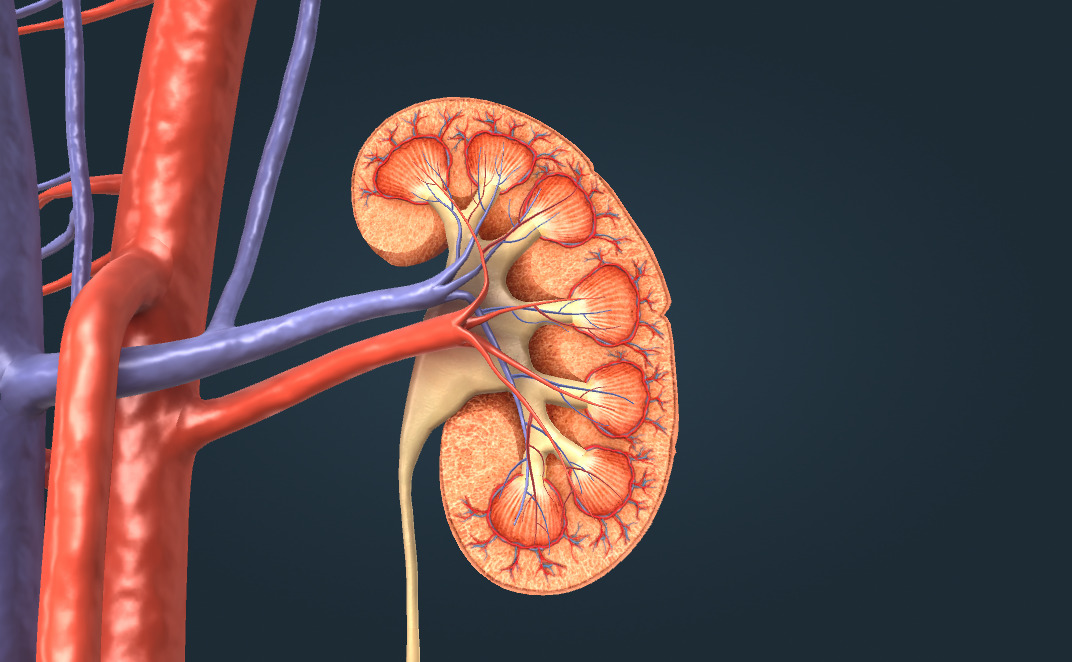 Ленинск-Кузнецкидегі жезөкшелер